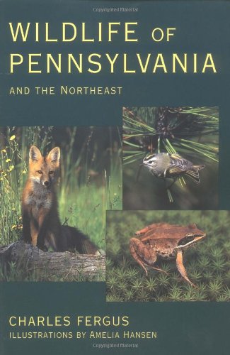 wildlife of pennsylvania and the northeast