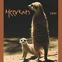 Meerkats 2009 Calendar-Square Wall
