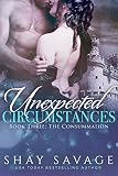 The Consummation: Unexpected Circumstances Book Three