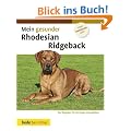 Mein gesunder Rhodesian Ridgeback