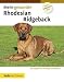 Image of Mein gesunder Rhodesian Ridgeback