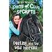 Destiny and the Wild Horses (Pony Club Secrets)