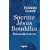 Socrate, J�sus,  Bouddha : Trois ma�tres de vie