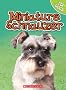 Miniature Schnauzer