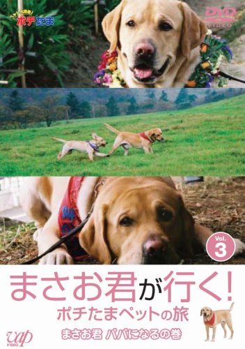 Cover image : まさお君が行く！ポチたまペットの旅 まさお君 パパになるの巻 [DVD]
