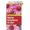 Welche Heilpflanze ist das?