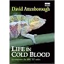 Life in Cold Blood