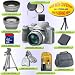 PANASONIC LUMIX DMC-FZ8 SILVER W/ 4.0GB KIT+LENSES