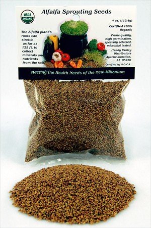 Alfalfa Sprouting Seeds - 4 Oz. (1 4 Lb) Certified Organic Alfalfa Sprout Seed - Perfect... by Wheatgrasskits.com