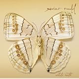 White Moth
