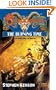 Shadowrun 40: The Burning Time
