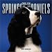 English Springer Spaniels 2004 Calendar