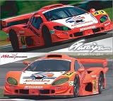 ARTA���饤�� GT300�졼������