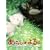 ���炵�̂��� �X�y�V�����E�G�f�B�V���� [DVD]