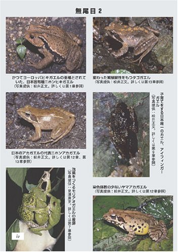 Cover image : これからの両棲類学