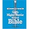 Devotional Bibles to consider