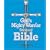 God's Mighty Warrior Devotional Bible