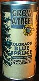 Colorado Blue Spruce Growing Kit