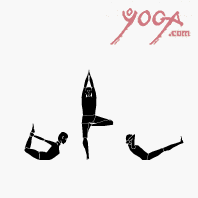 B.K.S. Iyengar, Yoga '90 - Teacher Training Both Videos: Format-VHS