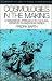 Cosmologies in the Making: A Generative Approach to Cultural Variation in Inner New Guinea (Cambridge Studies in Social and Cultural Anthropology)