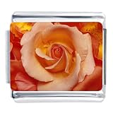 Rose Photo Italian Charms Bracelet