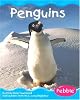 Penguins (Polar Animals)