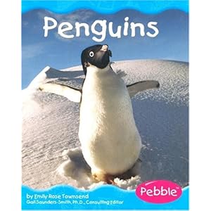 Mrs. Wills Kindergarten: Penguins! Penguins! Penguins!