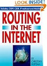 Routing in the...