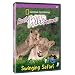 National Geographic: Really Wild Animals - Swinging Safari