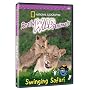 National Geographic: Really Wild Animals - Swinging Safari