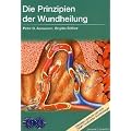 Die Prinzipien der Wundheilung: Wundtypen, Wundheilungsvorg�nge und Wundheilungsst�rungen