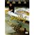 Don't Torture a Duckling [DVD] [1972] [Region 1] [US Import] [NTSC]