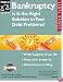 Bankruptcy : Is It the Right Solution to Your Debt Problems? (Quick & Legal Series)