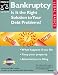 Bankruptcy : Is It the Right Solution to Your Debt Problems? (Quick & Legal Series)