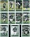 Search : 2006 Topps Philadelphia Eagles Football Card Team Set of 11 Cards Including Donovan McNabb, Westbrook, and Avant !