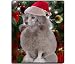 Poodle Christmas Mousepad