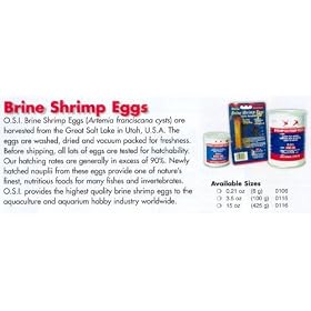 Ocean Star International Brine Shrimp Eggs 15oz by Ocean Star International