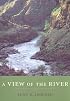 A View of the River