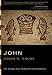 Books : The Gospel According to John: An Introduction and Commentary (Tyndale New Testament Commentaries)