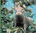 Otters (Worldlife Library)