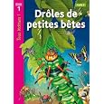 D�tails sur le produit