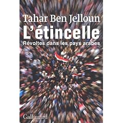 L'�tincelle : R�voltes dans les pays arabes