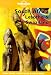South Africa, Lesotho and Swaziland (Lonely Planet Regional Guides)