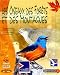 Les Oiseaux des forêts et des montagnes Les Oiseaux des forêts et des montagnes