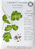 Organic Cilantro Seeds