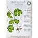 Organic Cilantro Seeds