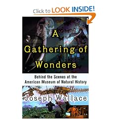 A Gathering of Wonders