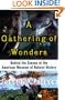 A Gathering of Wonders