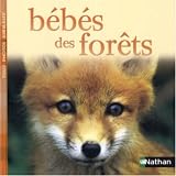 B�b�s des for�ts