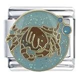 Animal Cancer Italian Charms Bracelet Link